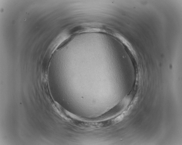 X0000066521193200603241329