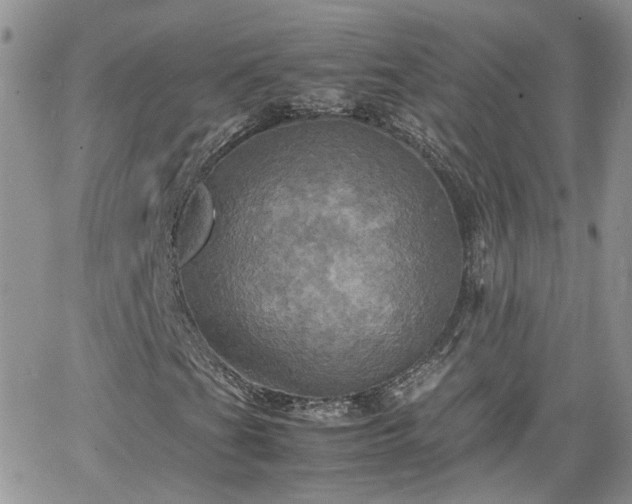 X0000066521201200603241328