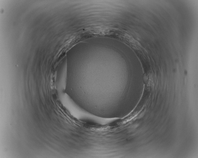 X0000066521202200603241328