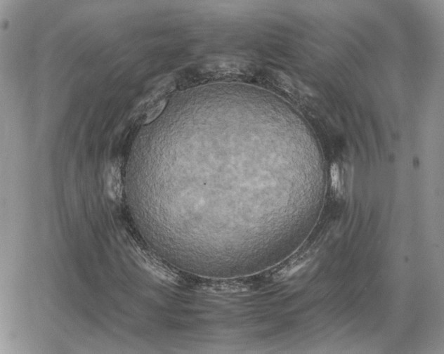 X0000066521203200603241328