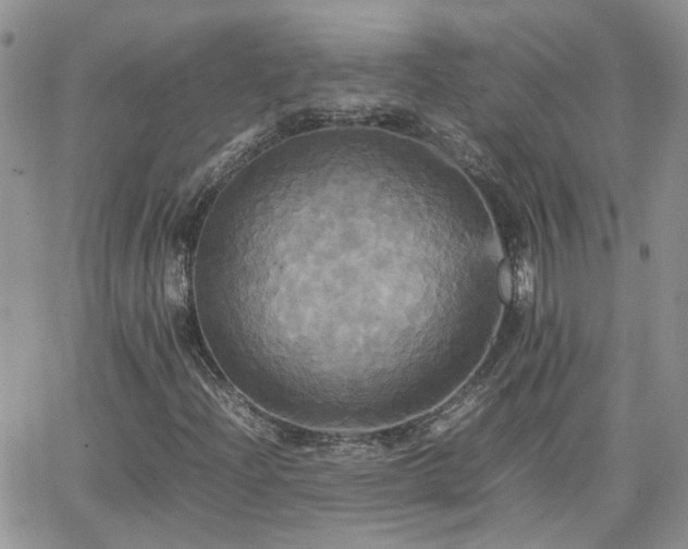 X0000066521204200603241328