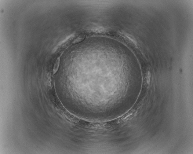 X0000066521205200603241328