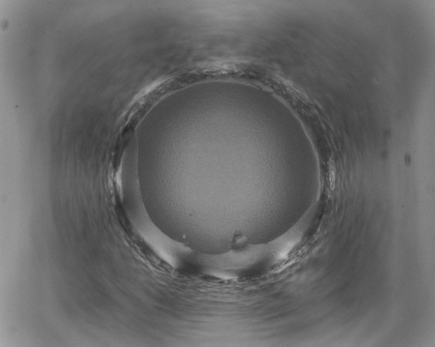 X0000066521206200603241328