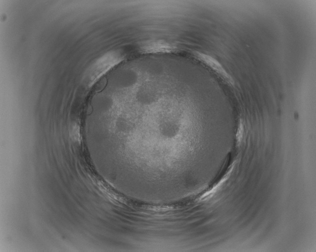 X0000066521209200603241328