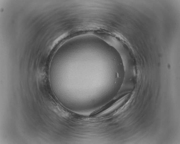 X0000066521210200603241328