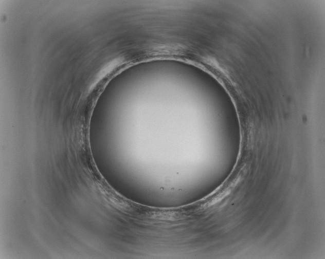 X0000066521211200603241328