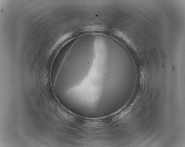 X0000066521213200603241328