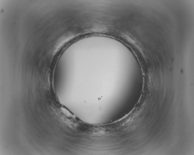 X0000066521214200603241328