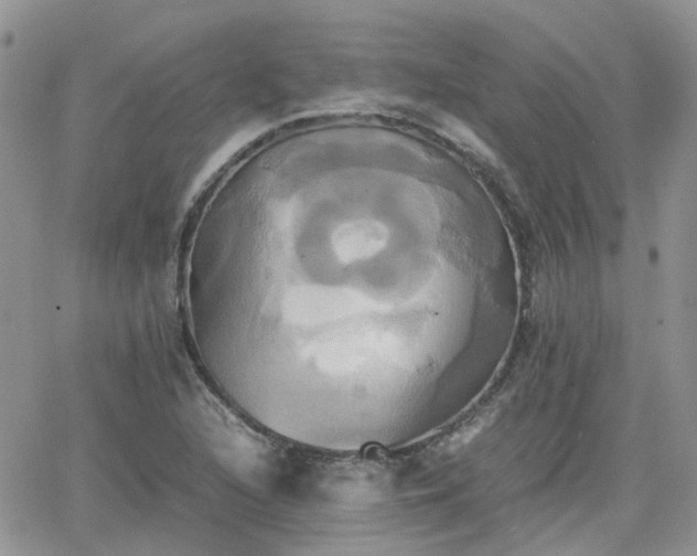 X0000066521216200603241328