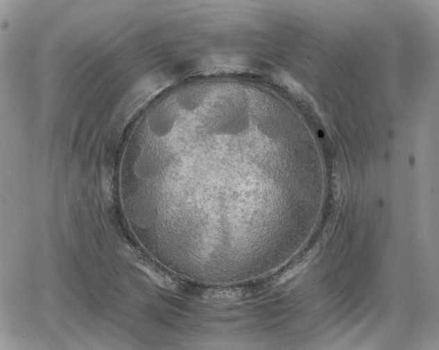 X0000066521217200603241328