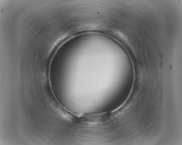 X0000066521218200603241328