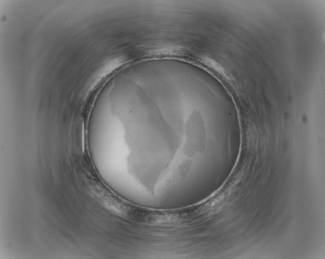 X0000066521219200603241328