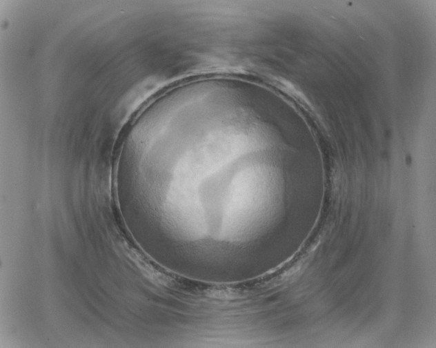 X0000066521220200603241328