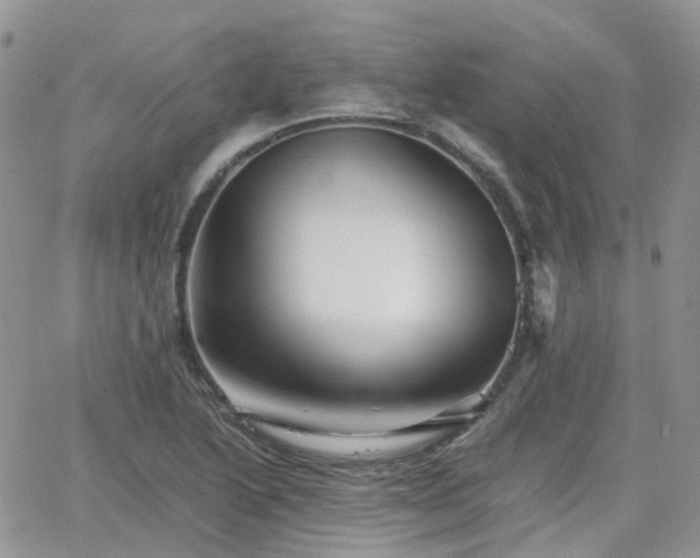 X0000066521222200603241328