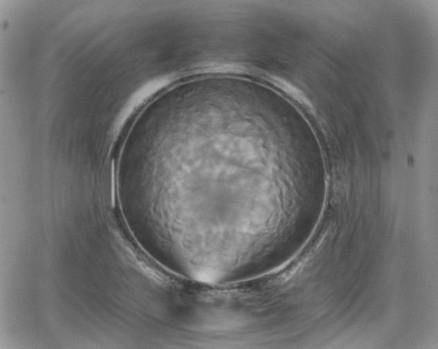 X0000066521223200603241328