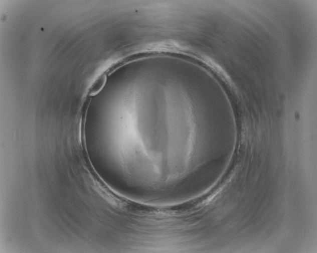 X0000066521224200603241328