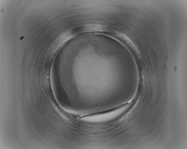 X0000066521225200603241328