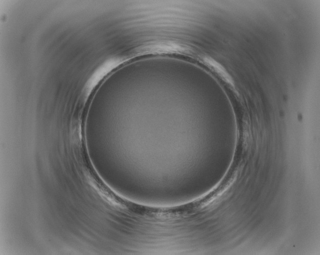 X0000066521226200603241328