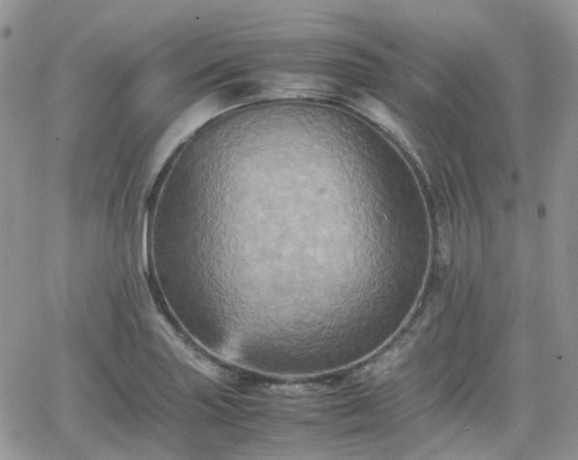 X0000066521227200603241328