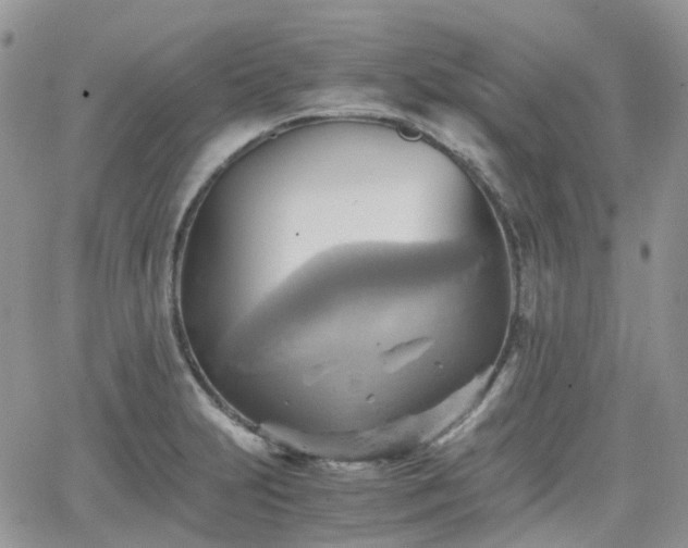 X0000066521231200603241328