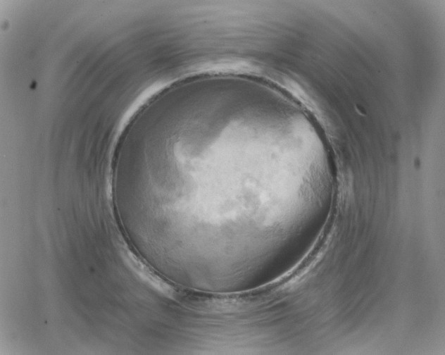 X0000066521232200603241328