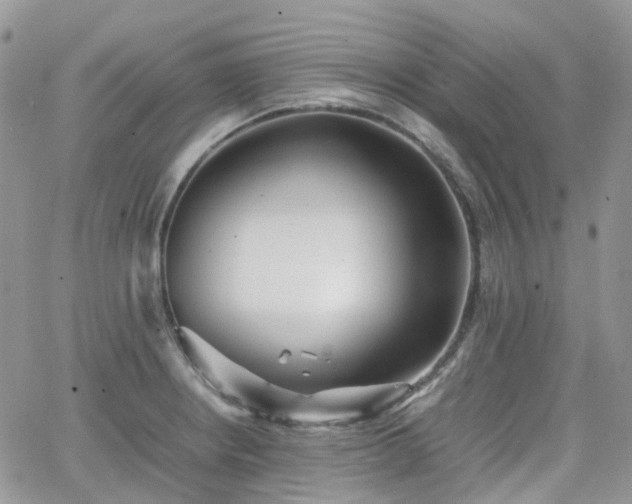 X0000066521234200603241328