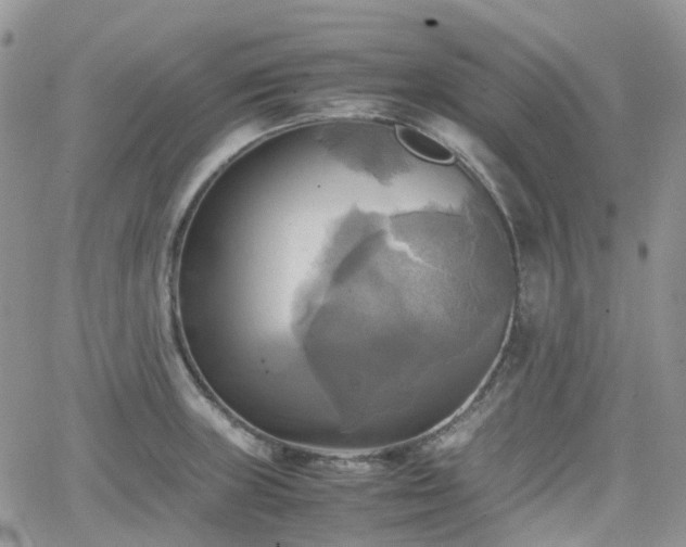 X0000066521235200603241328