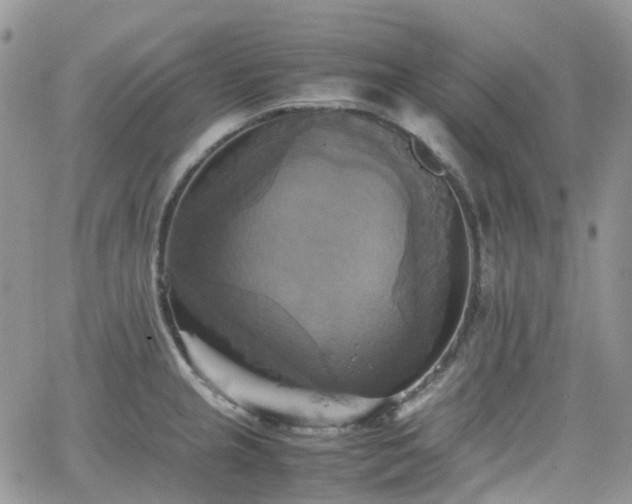 X0000066521237200603241328