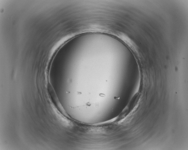 X0000066521238200603241328