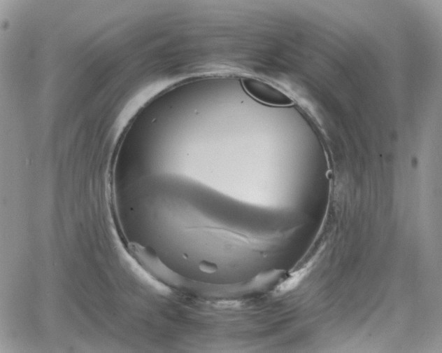 X0000066521239200603241328