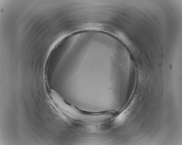 X0000066521240200603241328