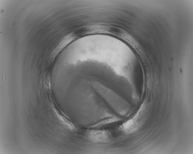 X0000066521241200603241328