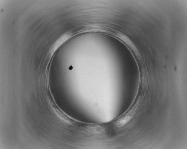 X0000066521242200603241328