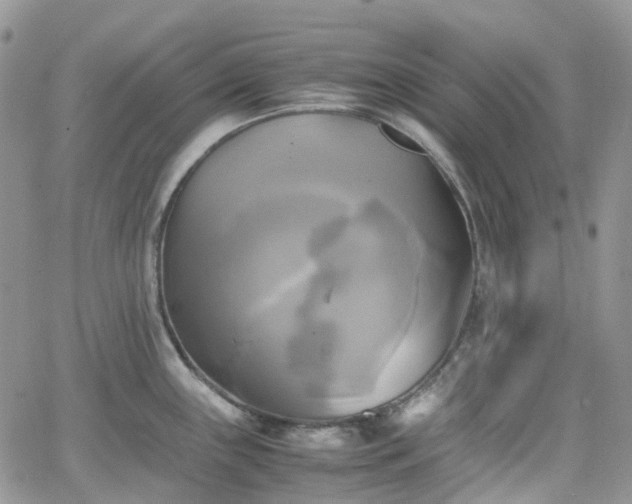 X0000066521243200603241328