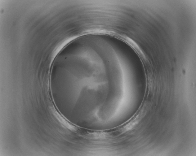 X0000066521244200603241328