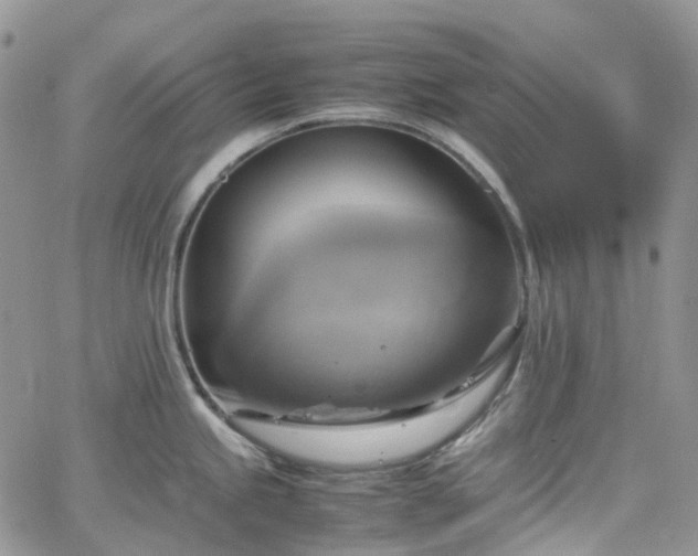 X0000066521245200603241328