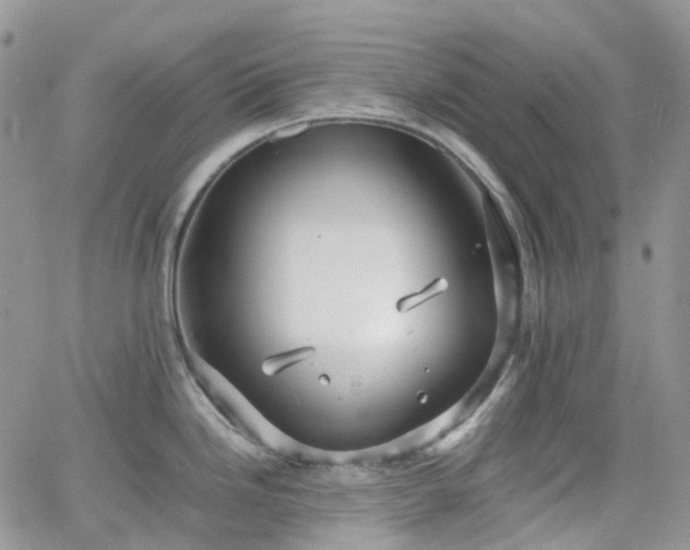 X0000066521246200603241328