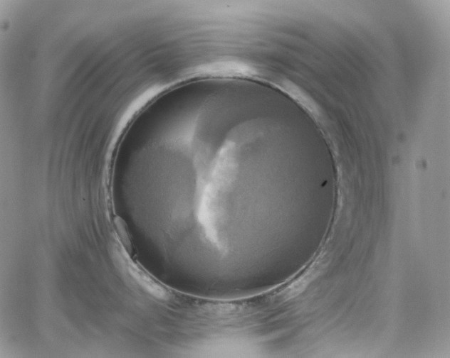 X0000066521248200603241328