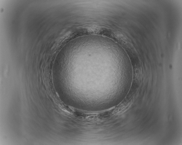 X0000066521249200603241328