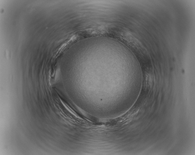 X0000066521250200603241328