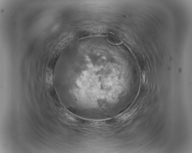 X0000066521251200603241328