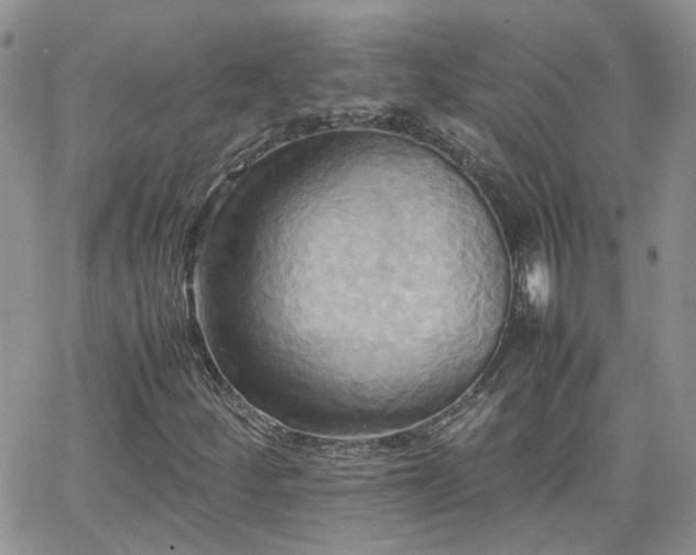 X0000066521252200603241328