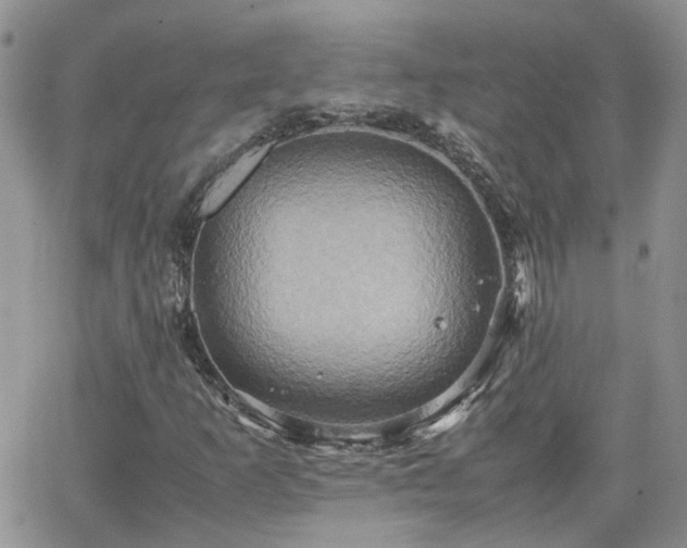 X0000066521253200603241328