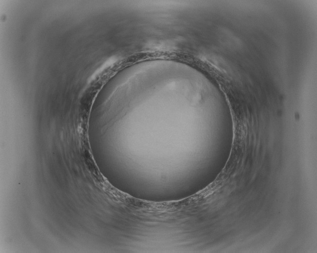 X0000066521254200603241328