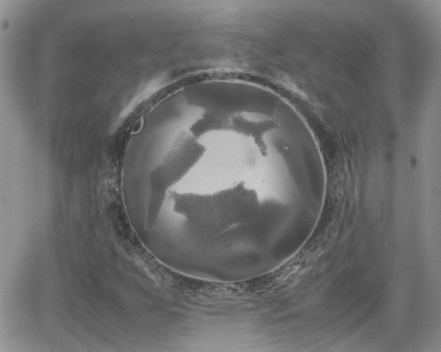 X0000066521255200603241328