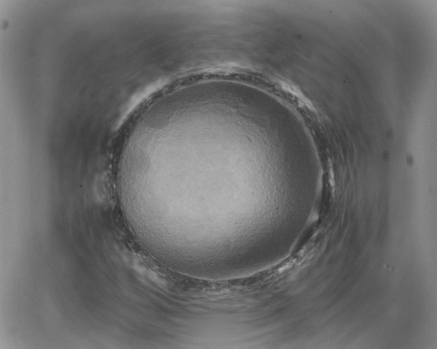 X0000066521256200603241328