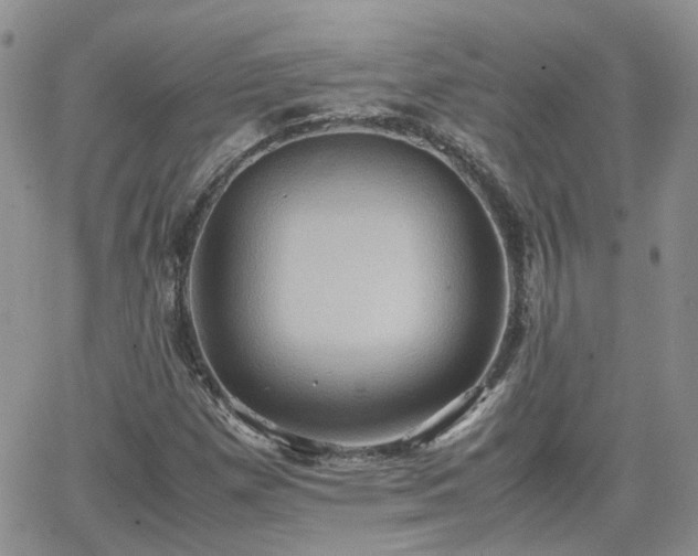 X0000066521257200603241328