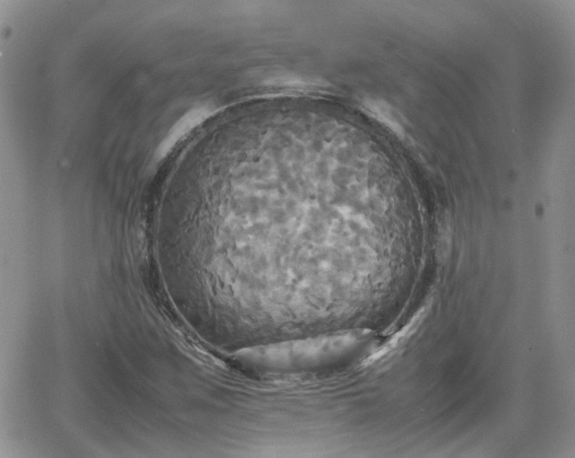 X0000066521259200603241328