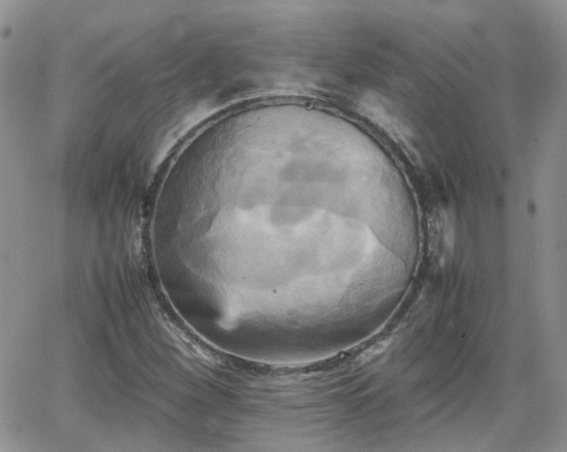 X0000066521260200603241328