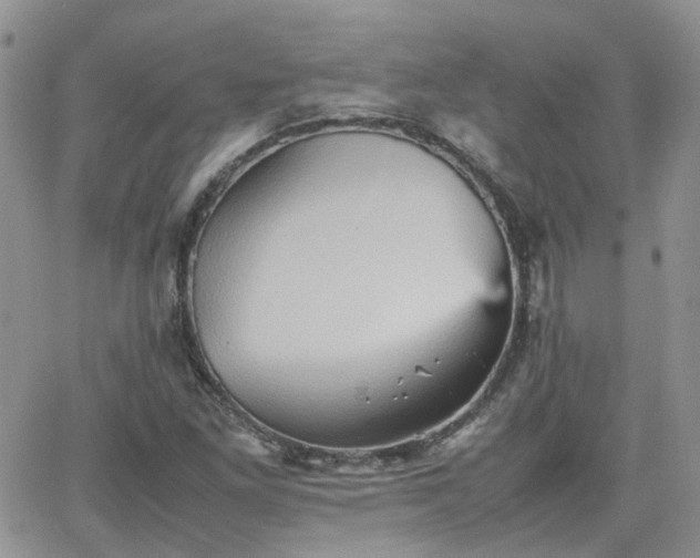 X0000066521261200603241328